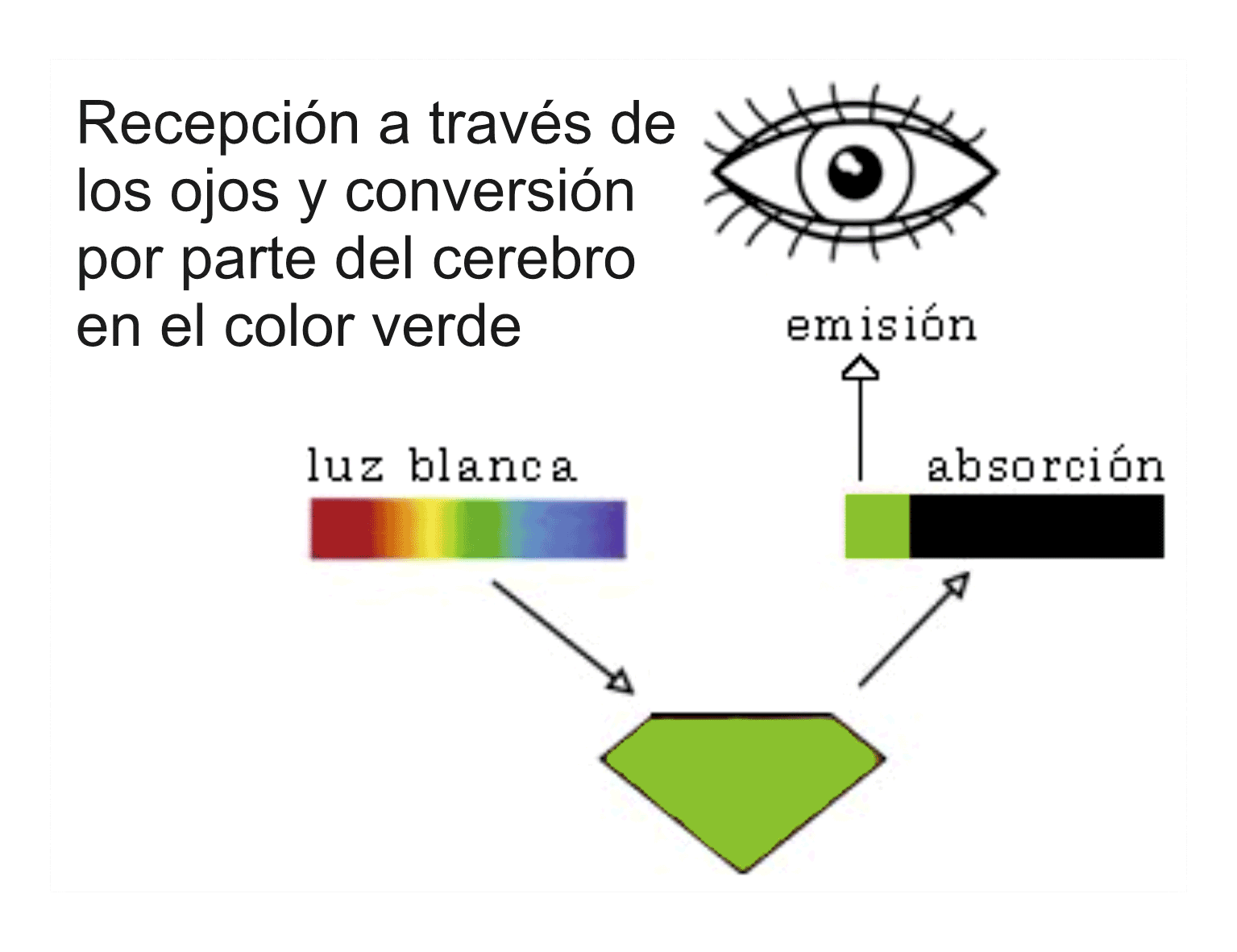 causas del color verde